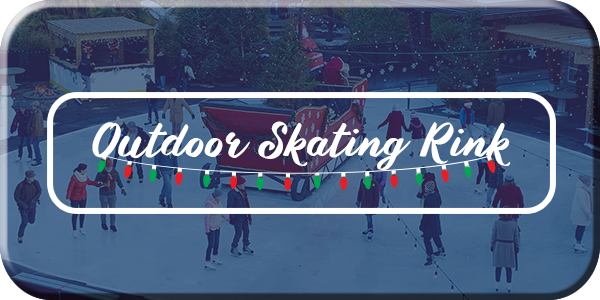 Outdoor Skating Rink